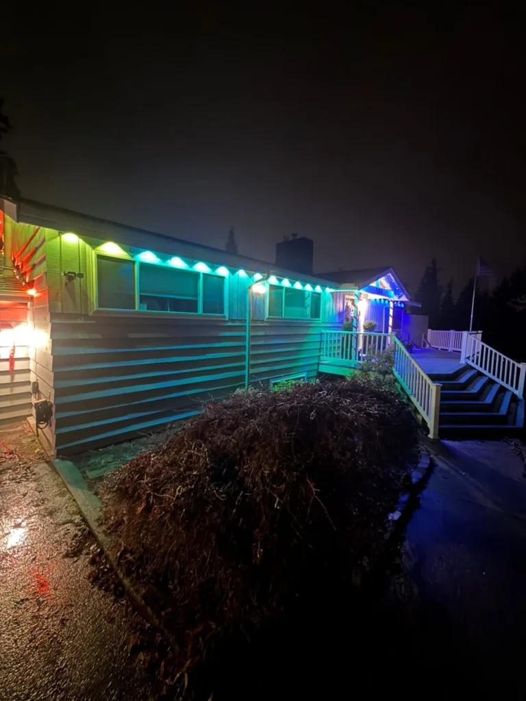 Christmas Lights